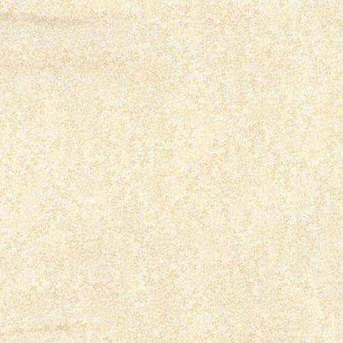 Wide Back 108" - Quilting Fabric