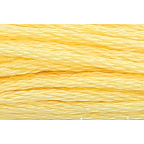 Anchor Stranded Cotton Embroidery Threads - Yellow/Orange/Red/Brown/Black