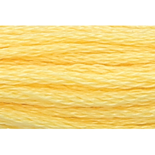 Anchor Stranded Cotton Embroidery Threads - Yellow/Orange/Red/Brown/Black