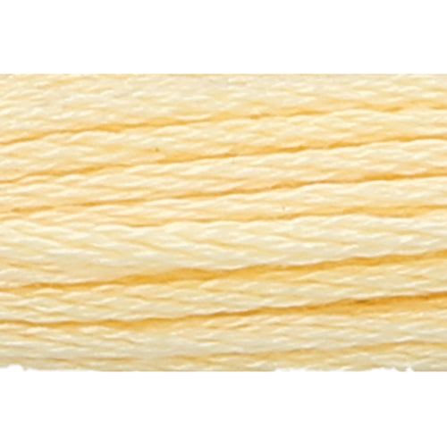 Anchor Stranded Cotton Embroidery Threads - Yellow/Orange/Red/Brown/Black