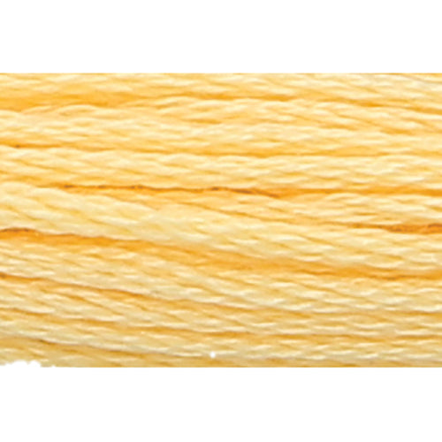 Anchor Stranded Cotton Embroidery Threads - Yellow/Orange/Red/Brown/Black