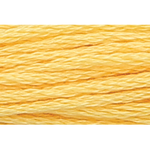 Anchor Stranded Cotton Embroidery Threads - Yellow/Orange/Red/Brown/Black