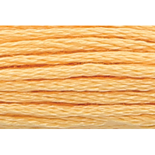 Anchor Stranded Cotton Embroidery Threads - Yellow/Orange/Red/Brown/Black